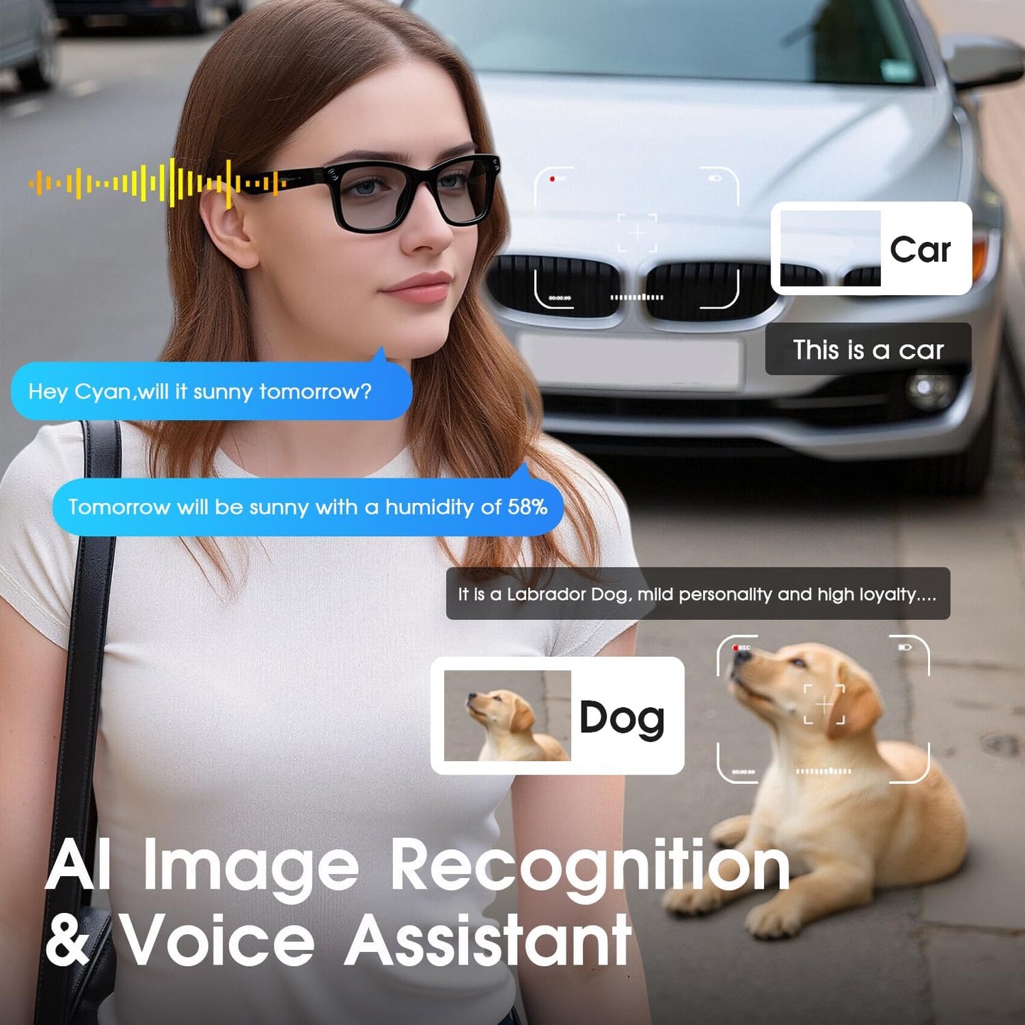 AI Smart Glasses with 4K HD Camera 290 Mah Battery 8MP Photography Video Recording Real Time Translation GPT Object Identification Photochromic Lenses(Black)